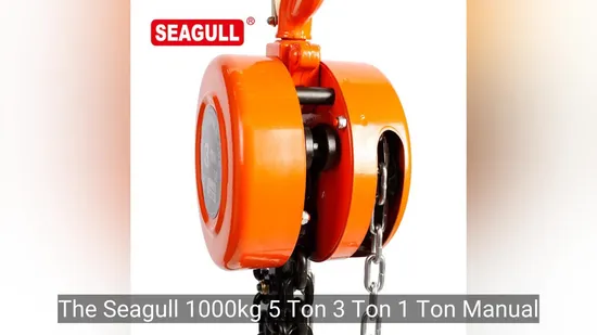 Seagull 1000 kg 5 Tonnen 3 Tonnen 1 Tonne Manueller Kettenzug Handkettenzug