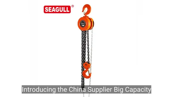 Seagull 0,5 Tonnen 1 Tonne Manueller Kettenzug Handhebeketten-Flaschenzug